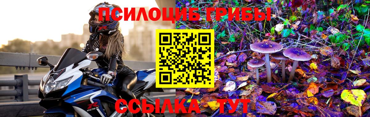 Псилоцибиновые грибы MAGIC MUSHROOMS Ликино-Дулёво