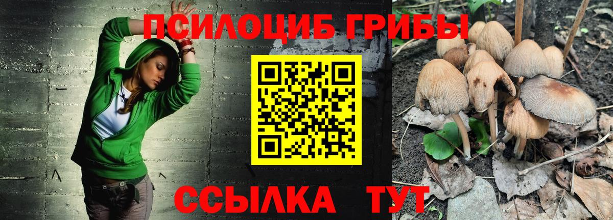 Ликино-Дулёво  где можно купить   Вход с VPN  Галлюциногенные грибы Cubensis 